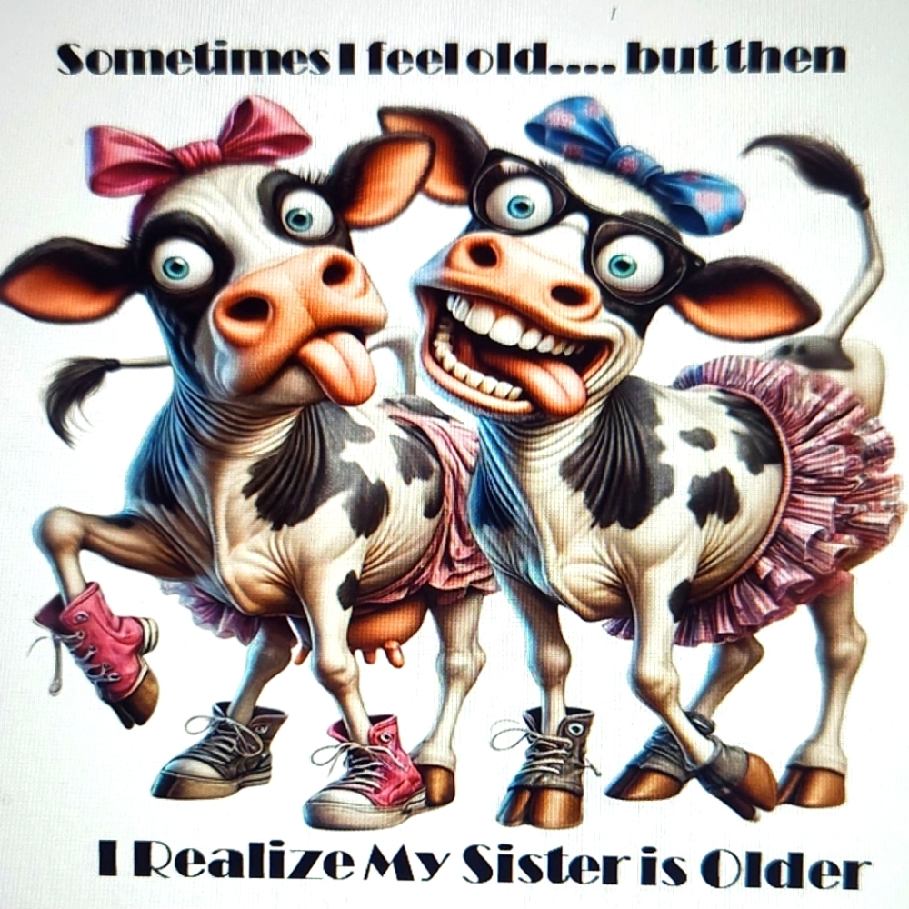 Funny Cow Sisters Graphic Tumbler.  Hand Crafted
